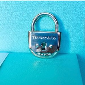 Tiffany &  Co. Arc Lock Brand New SS